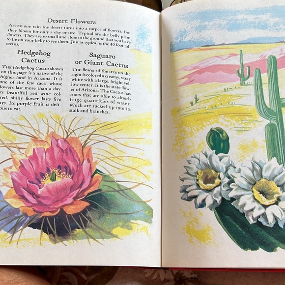 Vintage The Wonders of Nature Hardcover Book 1974 Coffee Table Book oversized - Picture 13 of 16